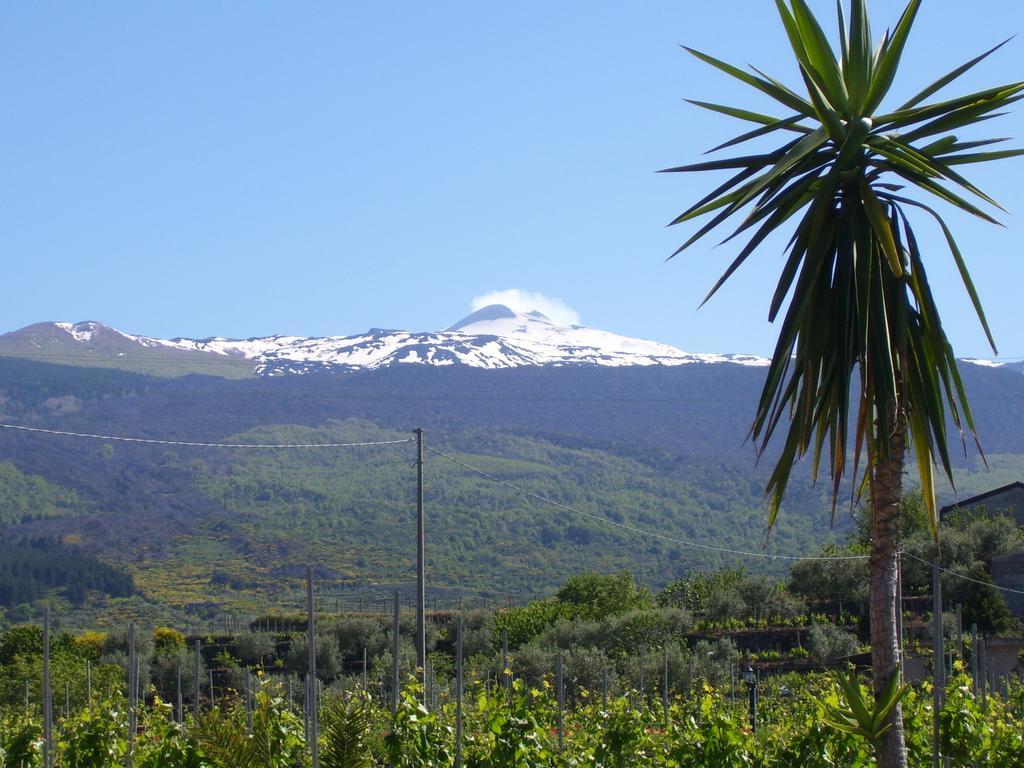 Etna Wine Azienda Agrituristica Passopisciaro Exterior foto
